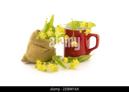 Rote Tasse und kleine hessische Tüte mit frisch gepflückten gelben Lindenblüten und Blättern, auch tilia und Limette genannt, für die Herstellung eines heilenden Tisans oder Tees Stockfoto