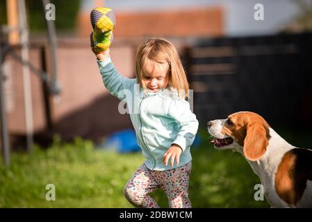 Junge 2-3 Jahre alte kaukasische Baby Mädchen spielen mit Beagle Hund im Garten. Hund jagen ein Mädchen mit einem Spielzeug auf Gras im Sommer Tag Stockfoto