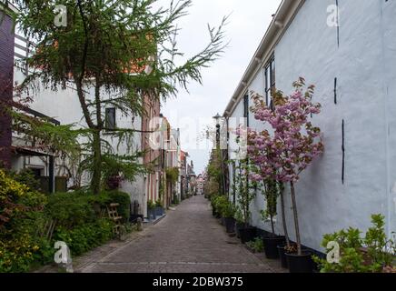 ALKMAAR, NIEDERLANDE - 21. APRIL 2017: Historische Altstadt von Alkmaar, Nordholland, Niederlande, Stockfoto