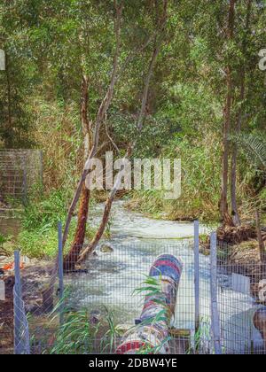 Wasser fließt aus einem Abflussrohr in einen kleinen Fluss. Im Wald nahe dem Jordan in Israel. Konzept der Wasserfülle oder Wasser und Natur Pollu Stockfoto