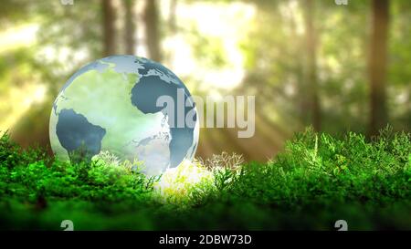 Globus auf die Vegetation im Wald. Ökologische Konzept. 3D-Rendering. Stockfoto