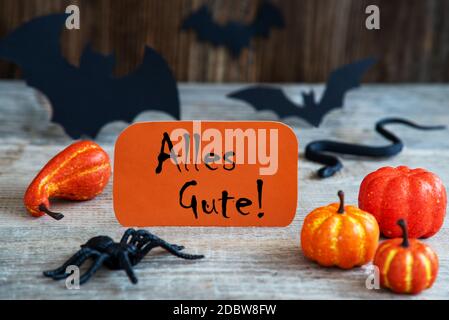 Orangefarbenes Etikett mit deutschem Text alles gute bedeutet Herzliche Glückwünsche. Gruselige Halloween Dekoration Wie Fledermaus, Schlange Und Spinne Stockfoto