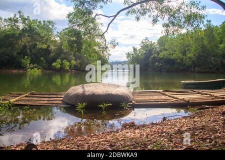 Elefantenrehabilitationszentrum, Kottoor, Kappukad, Trivandrum, Elefantenfütterung, Baden, Safari Stockfoto