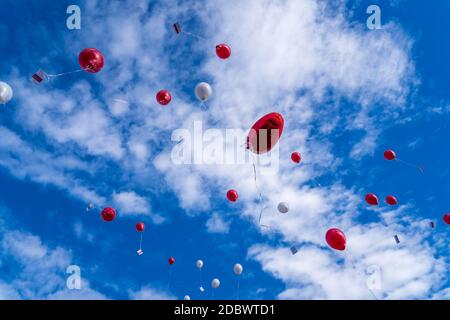 Viele ausgestrahlte fliegende Luftballons mit Karte in blauem Himmel - Hochzeitsballons Stockfoto