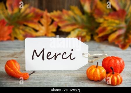 Weißes Etikett mit französischem Text Merci bedeutet Danke. Holzhintergrund Mit Herbstdeko Wie Kürbis Und Blätter Stockfoto