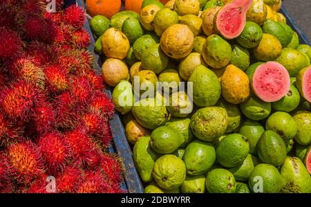 Stapel der jocote Früchte oder mombin hog Plum und sineguela an einem lokalen frischen Markt in San Jose Costa Rica verkauft Stockfoto