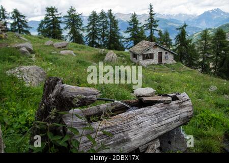 Chantelle, Parc du grand Paradis, Val d'aoste, Italien Stockfoto