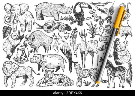 Tiere Doodle Set. Sammlung von lustigen handgezeichneten niedlichen wilden afrikanischen Safari Säugetiere isoliert auf weißem Hintergrund. Abbildung von Leoparden Löwen Schlangen Affen Zebra Giraffe Elefant für Kinder. Stock Vektor