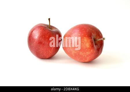 Zwei große appetitlich rote Äpfel isoliert auf weißem Hintergrund Stockfoto