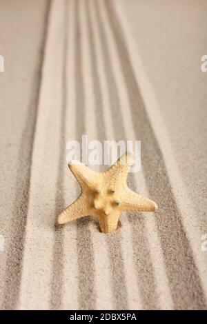 Sterne in den Sand zu stecken, kann als Hintergrund verwendet werden Stockfoto