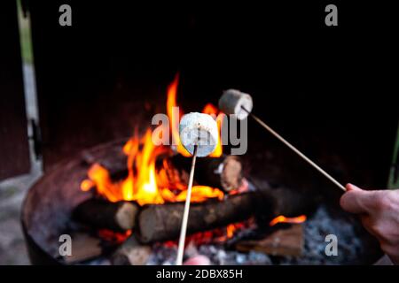Die Person, die über dem Feuer röstet, flammt die Marshmallows über dem Lagerfeuer in der Nacht auf dem Sommertag, für die Smores oder den Imbiss in der Nähe Stockfoto