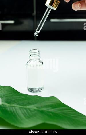 Weibliche Hand hält unbranded Glasflasche mit Serum für die Haut. Feuchtigkeitsspendende und straffende Behandlung für die Haut. Flasche für Gesichtsserum mit Pipette. Cosme Stockfoto