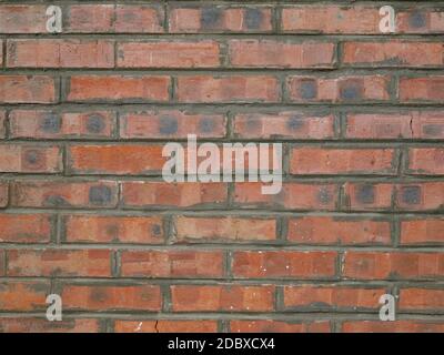 Eine Mauer, die aus flämischen Ziegelsteinen mit Glasur gebaut wurde Stockfoto