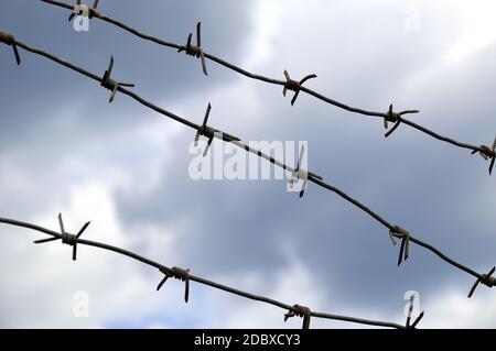 Stacheldraht gegen den dunklen Himmel. Einreiseverbot Stockfoto