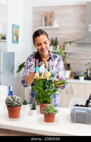 Fröhliche Frau kümmert sich um die Blumen zu Hause in der gemütlichen Küche. Mit Fertil Boden mit Schaufel in Topf, weiße Keramik Blumentopf und Pflanzen für die Wiederbepflanzung für Hausdekoration Pflege vorbereitet Stockfoto