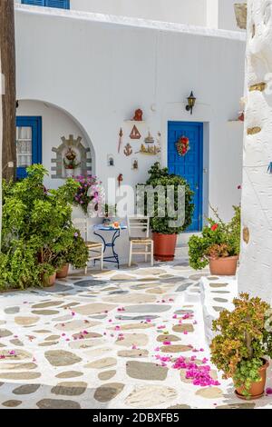 Malerische Gasse in Prodromos Paros griechische Insel mit einer voll blühenden Bougainvillea !! Weiß getünchte traditionelle Häuser mit blauer Tür und Blumen alle Stockfoto