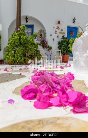 Malerische Gasse in Prodromos Paros griechische Insel mit einer voll blühenden Bougainvillea !! Weiß getünchte traditionelle Häuser mit blauer Tür und Blumen alle Stockfoto