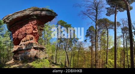 Devil's Tisch steht auf einem Hügel in der Mitte von Der Wald Stockfoto