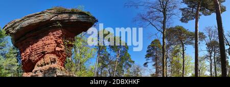 Devil's Tisch steht auf einem Hügel in der Mitte von Der Wald Stockfoto