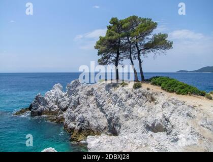 Bäume in Amarantos Felsen auf der Insel Skopelos an den Sporaden in Griechenland Stockfoto