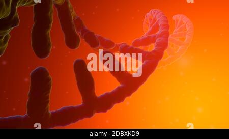 3D-Darstellung einer DNA-Helix unter einem simulierten Mikroskop. Stockfoto