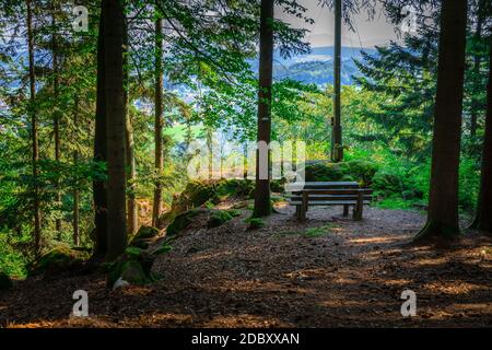 Wandern bei Rattenberg im bayerischen Wald Stockfoto