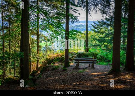 Wandern bei Rattenberg im bayerischen Wald Stockfoto