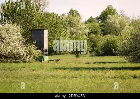 Ein hoher Platz für Jäger, versteckt in einer Lichtung. Stockfoto