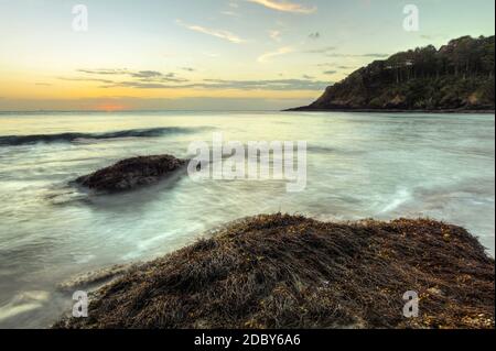 Ocean waves Waschen der Felsen mit Algen und Seegras im Abendlicht abgedeckt. Koh Lanta, Thailand Stockfoto