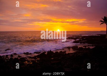 Farbenfrohe Sonnenuntergangsaufnahme mit langer Belichtung einer Palme und des Pazifischen Ozeans in Kona, Hawaii Stockfoto