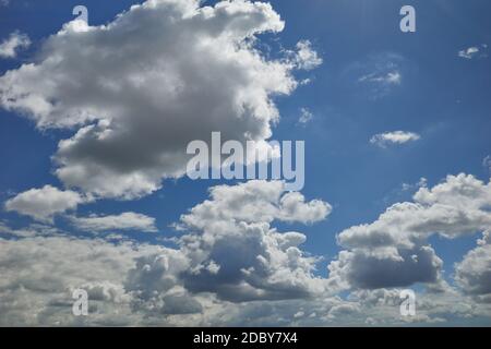 Der flauschige, kohlblütenförmige Cumulus am blauen Himmel Stockfoto