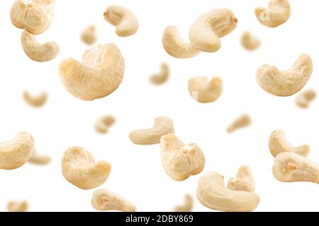 Fallende Cashewnuss isoliert auf weißem Hintergrund, selektiver Fokus Stockfoto