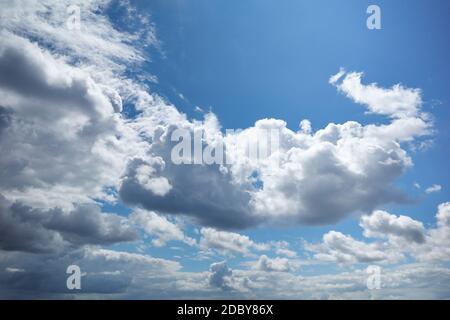 Blauer Himmel mit flauschigen Cumuluswolken, die wie schwebende Baumwollstücke aussehen Stockfoto