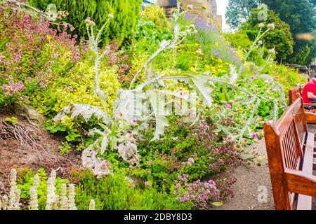 Edinburgh, Schottland 7. August 2020 Princes Street Gardens am Sommertag in Edinburgh, Schottland Stockfoto