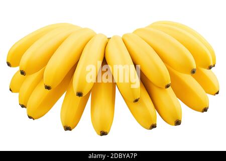 Bündel Bananen auf weißem Hintergrund, Beschneidungspfade, volle Tiefenschärfe Stockfoto