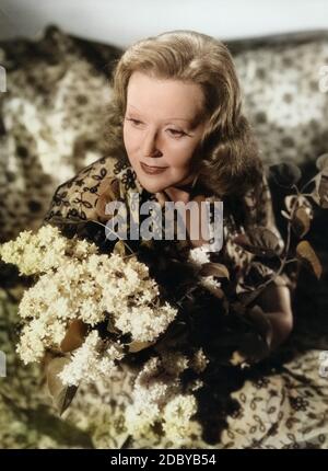 Valerie von Martens, österreichisch deutsche Plant, Deutschland 1953. Die österreichische Schauspielerin Valerie von Martens, Deutschland 1953. Stockfoto