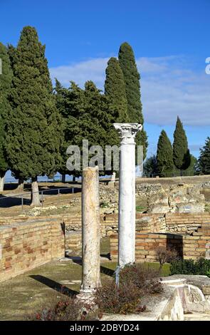 Ansicht der Ausgrabungsstätte von Italica bei Santiponce (Andalusien, Spanien) mit zwei römischen Säulen im Vordergrund und Zypressen in der Ferne. Stockfoto