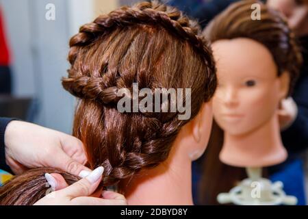 Professionelle Flechten von Zöpfen durch einen Meisterfriseur in einem Schönheitssalon. Das Konzept der Haarpflege. Stockfoto