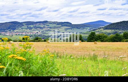 Das Thüringer RhÃ¶mit Blick auf Zella Stockfoto