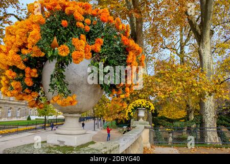 Paris, Frankreich - November 2017: Herbst im Jardin du Luxembourg in Paris. Frankreich Stockfoto