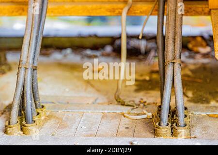 Schmutzige und alte elektrische Drähte, die von einem Plastikbinder in einem stillgehaltenem Steuerrelais-Kasten aus der alten Eisenrheinbahn (IJzeren Rijn) gehalten wurden, verschwommener Hintergrund. M Stockfoto