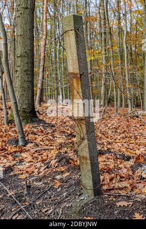 Alte Betonpfosten mit gebrochenem, rostigen und gewickelten Stacheldraht, in der Nähe der alten Eisenrheinbahn (IJzeren Rijn), Herbstbäume im Hintergrund, Meinweg n Stockfoto