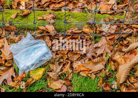 Plastiktüte mit blauen Einwegmasken auf dem Boden liegend zwischen trockenen braunen Blättern auf grünem Gras neben einem Drahtzaun, bedecktem Herbsttag in der Mein Stockfoto