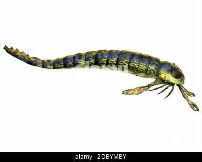 Pterygotus war eine räuberische Meer Skorpion, der auf der ganzen Welt aus dem Silur, Devon Epochen gelebt. Stockfoto