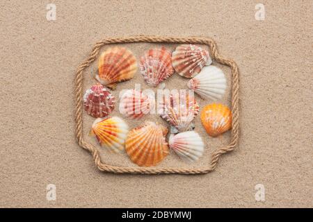 Schöne Rahmen aus Seil und Meer Muscheln im Sand mit Text als Hintergrund Stockfoto