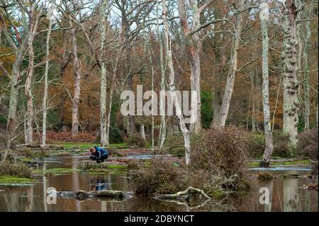 New Forest, Großbritannien, 17. November 2020. Ein Mann fotografiert überschwemmten Wald im New Forest, Hants. Nach mehreren Tagen wechselndem Wetter, einschließlich heftiger Regenfälle, sind Flüsse und Wasserstraßen gesättigt und geschwollen, was zu einigen lokalisierten Überschwemmungen während der vom Met Office als "Achterbahnwoche" für Großbritannien bezeichneten Zeit führte. Stockfoto