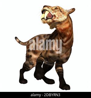 Die Säbelzahnkatze, auch Smilodon genannt, war ein großes Raubtier, das im Eozän bis Pleistozän in Nord- und Südamerika lebte. Stockfoto