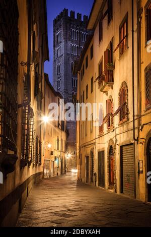 Eine Straße im historischen Teil von Lucca, Italien bei Nacht mit Blick auf den Lucca Cathedral Tower Stockfoto