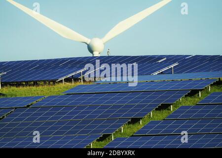 Großes Sonnensystem im Sommer unter blauem Himmel Stockfoto