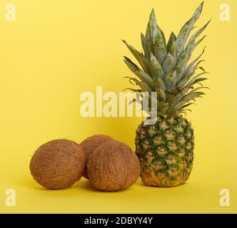 Ananas und ganze braune Kokosnüsse auf gelbem Grund, gesunde Früchte Stockfoto